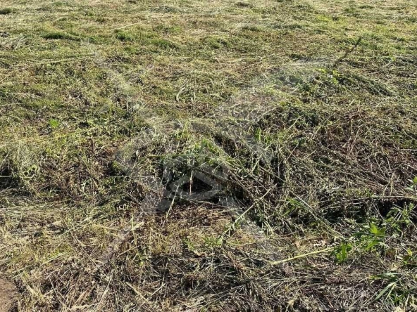 Парцел в с. Костиево, Област Пловдив - 5030 кв.м за 11 €/кв.м - Снимка #1