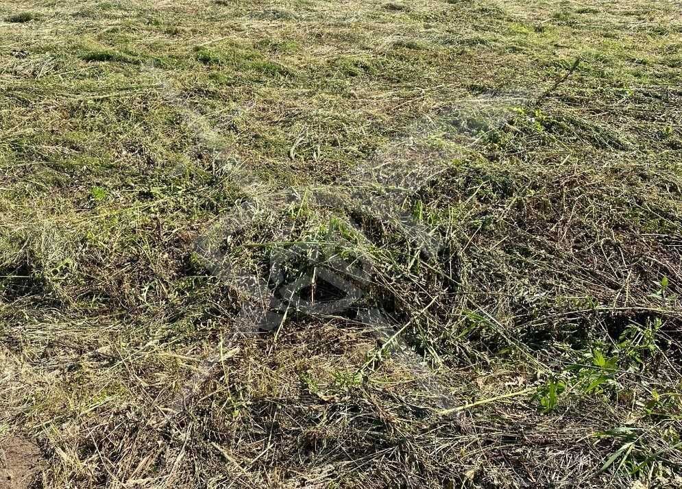 Парцел в с. Костиево, Област Пловдив - 5030 кв.м за 11 €/кв.м - Снимка #1