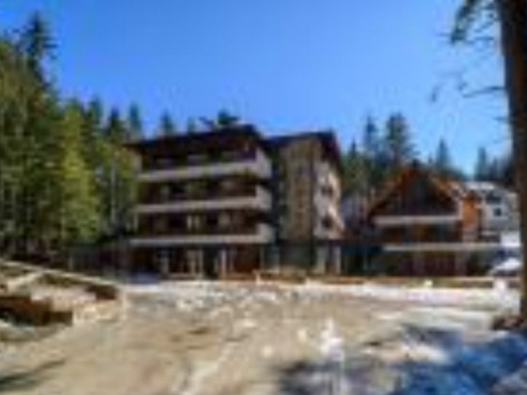 Парцел в с. Паничище, Област Кюстендил - 4700 кв.м за 105 €/кв.м - Снимка #1