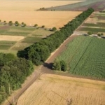 Земеделски имот в Добрич, Център -  кв.м за 102 €/дка - Снимка #1