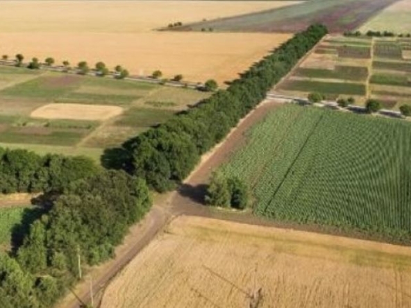 Земеделски имот в Добрич, Център -  кв.м за 102 €/дка - Снимка #1