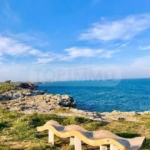 Парцел в с. Тюленово, Област Добрич - 8916 кв.м за 40 €/кв.м - Снимка #1