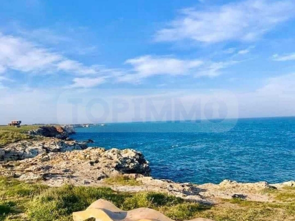 Парцел в с. Тюленово, Област Добрич - 8916 кв.м за 40 €/кв.м - Снимка #1