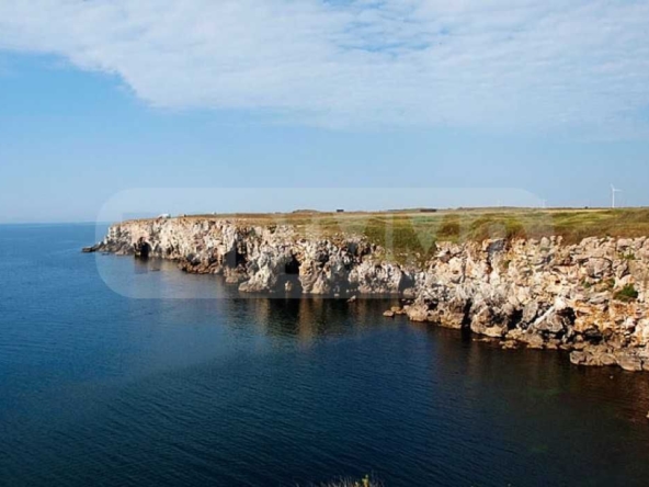 Парцел в с. Тюленово, Област Добрич - 3216 кв.м за 81 €/кв.м - Снимка #1