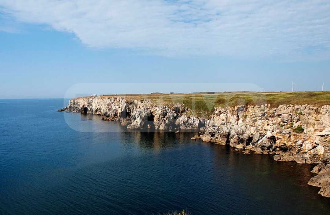 Парцел в с. Тюленово, Област Добрич - 3216 кв.м за 81 €/кв.м - Снимка #1