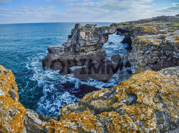 Парцел в с. Тюленово, Област Добрич - 8916 кв.м за 40 €/кв.м - Снимка #3