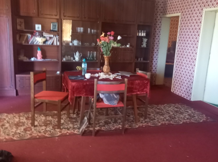 Къща в с. Сланотрън, Област Видин - 200 кв.м за 325 €/кв.м - Снимка #9