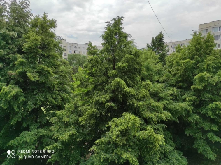 Тристаен апартамент в София, Обеля 1 - 74 кв.м за 1825 €/кв.м - Снимка #17
