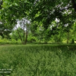 Четиристаен апартамент в София, Люлин 2 - 76 кв.м за 1711 €/кв.м - Снимка #1