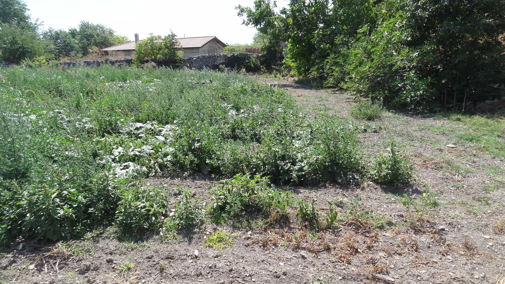 Парцел в с. Българево, Област Добрич - 2000 кв.м за 20 €/кв.м - Снимка #6