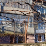 Етаж от къща в Каспичан - 100 кв.м за 800 €/кв.м - Снимка #1