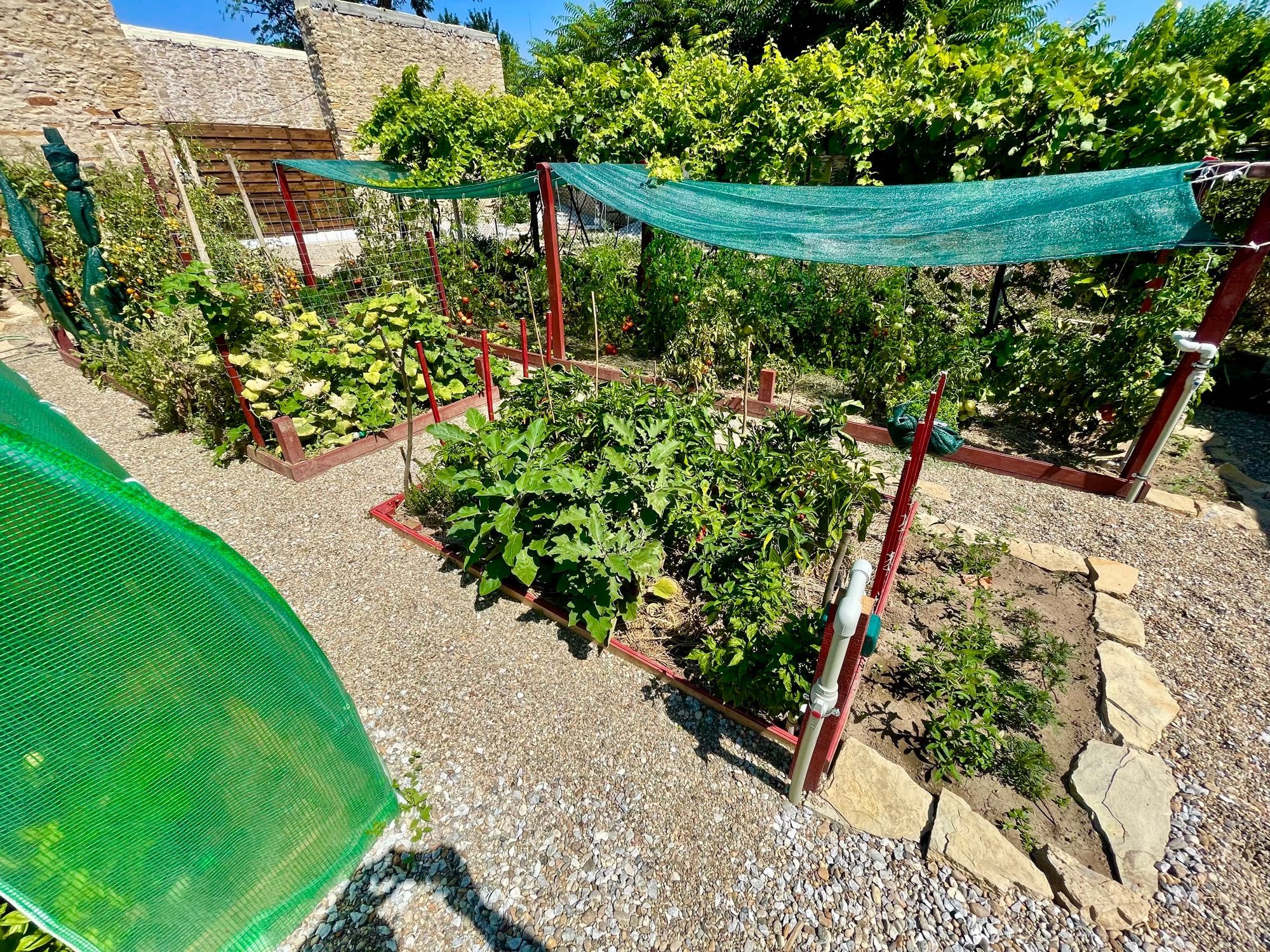 Къща в с. Долна Липница, Област Велико Търново - 106 кв.м за 1227 €/кв.м - Снимка #19