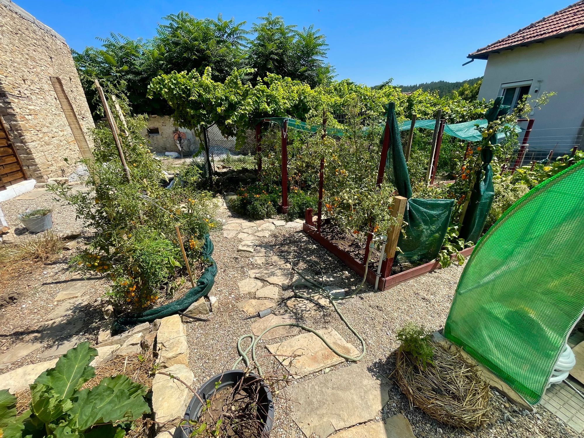 Къща в с. Долна Липница, Област Велико Търново - 106 кв.м за 1227 €/кв.м - Снимка #20