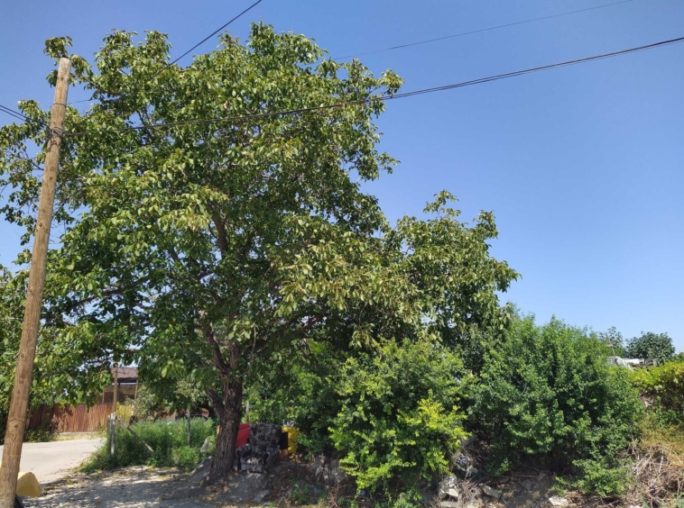 Парцел в Силистра, Център - 390 кв.м за 110 €/кв.м - Снимка #7