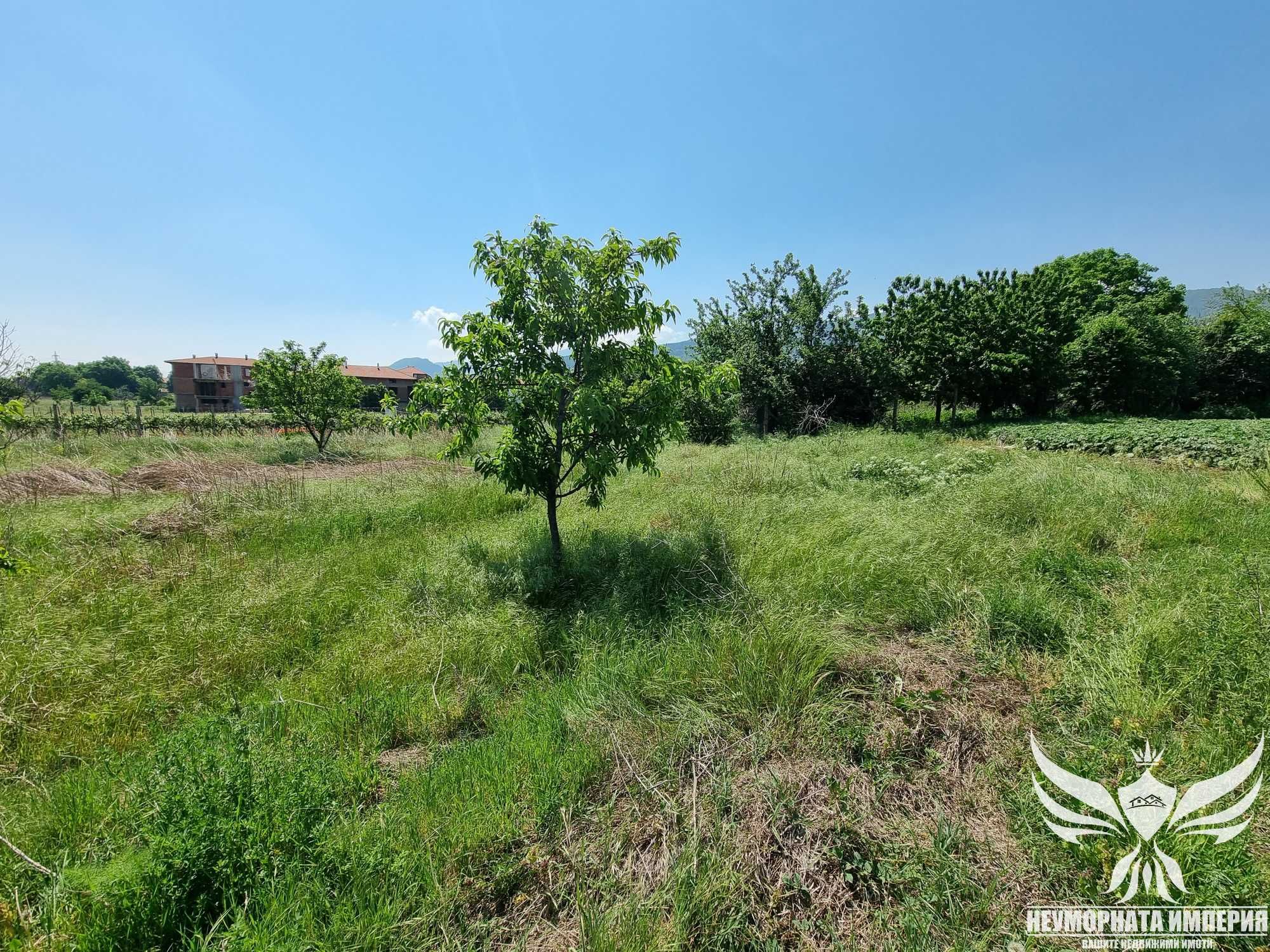 Парцел в Асеновград - 463 кв.м за 39 €/кв.м - Снимка #4