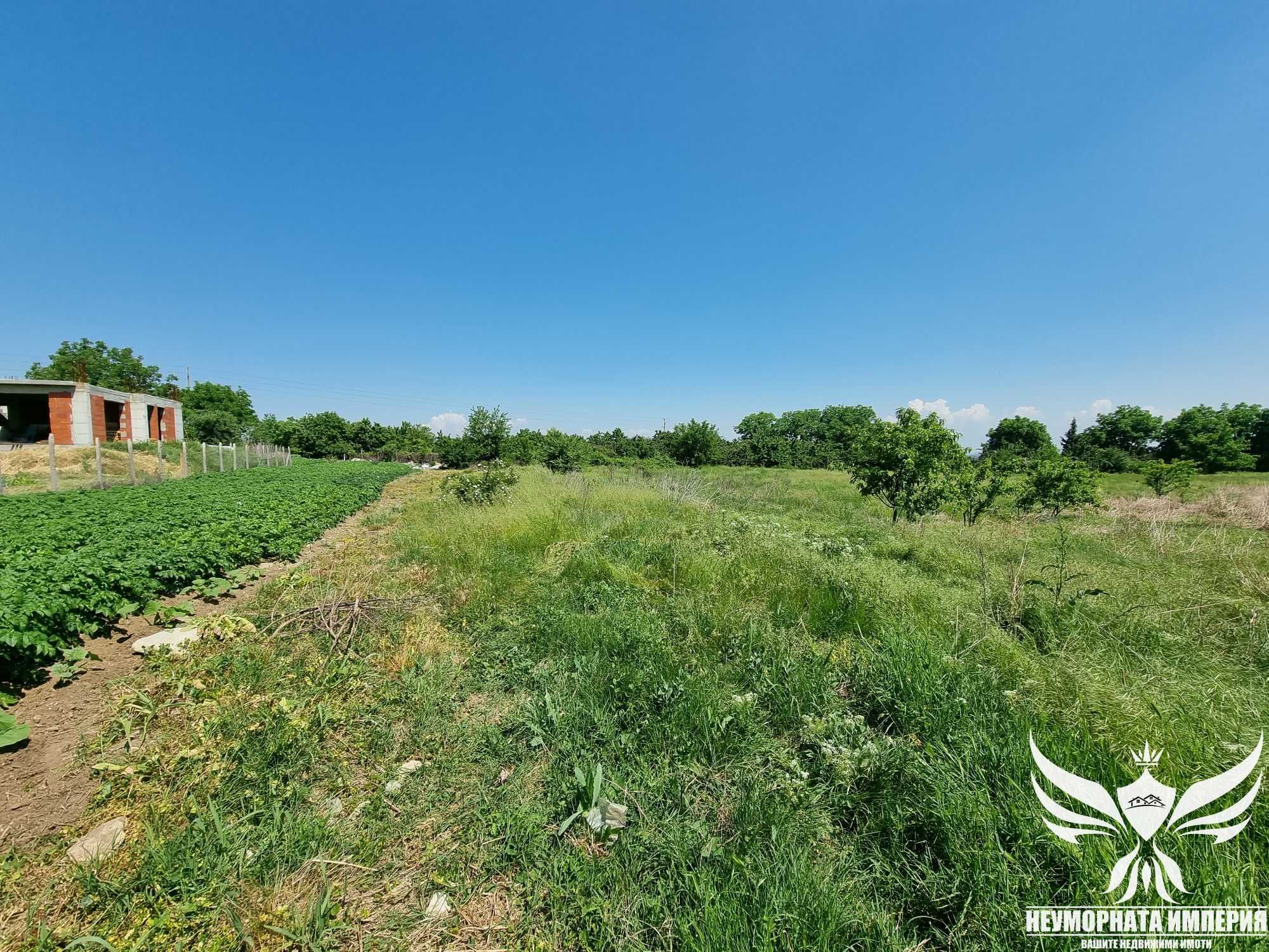 Парцел в Асеновград - 463 кв.м за 39 €/кв.м - Снимка #9