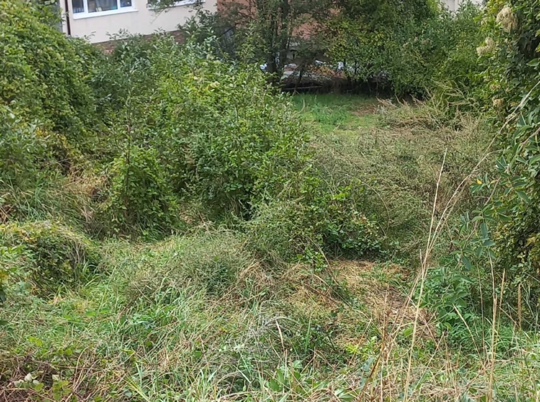 Парцел в Девин - 371 кв.м за 81 €/кв.м - Снимка #5