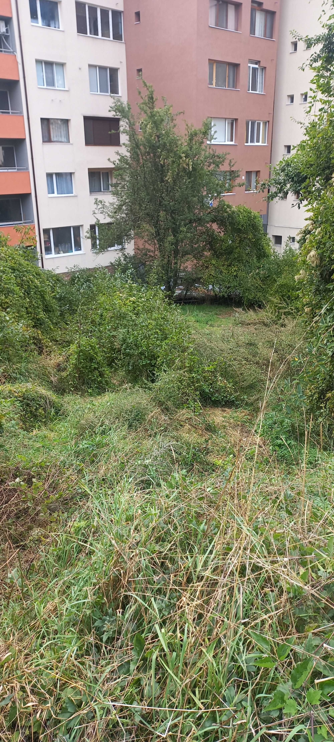 Парцел в Девин - 371 кв.м за 81 €/кв.м - Снимка #5