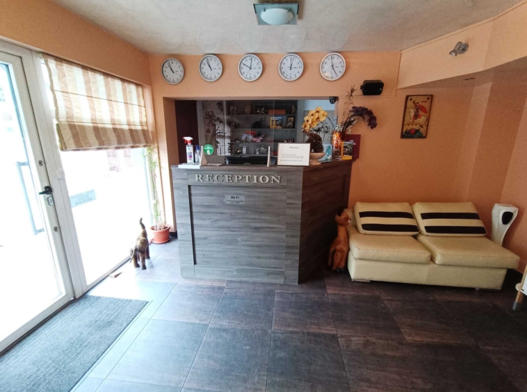 Хотел в Велинград - 670 кв.м за 1180 €/кв.м - Снимка #1