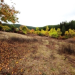 Земеделски имот в Велинград -  кв.м за 45000 €/дка - Снимка #1