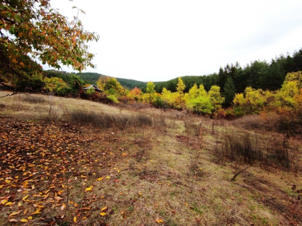 Земеделски имот в Велинград -  кв.м за 45000 €/дка - Снимка #1