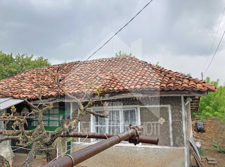 Парцел в с. Писарево, Област Шумен - 55 кв.м за 128 €/кв.м - Снимка #2