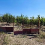 Земеделски имот в с. Буковлък, Област Плевен -  кв.м за 1834 €/дка - Снимка #1