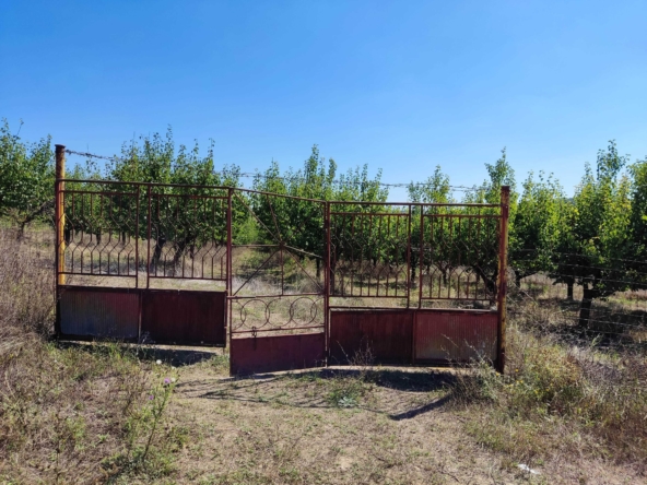 Земеделски имот в с. Буковлък, Област Плевен -  кв.м за 1834 €/дка - Снимка #1