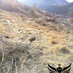 Парцел в с. Оряховец, Област Смолян - 3508 кв.м за 4 €/кв.м - Снимка #1