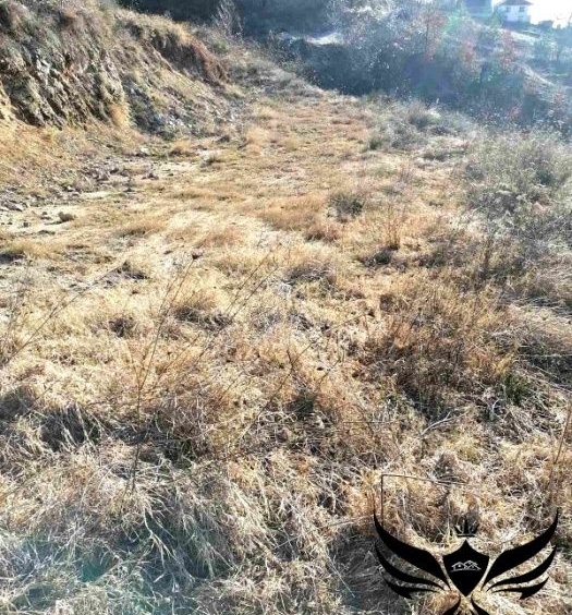 Парцел в с. Оряховец, Област Смолян - 3508 кв.м за 4 €/кв.м - Снимка #2
