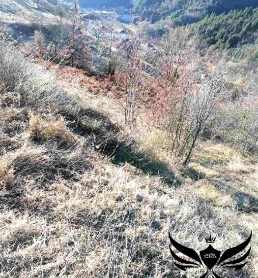 Парцел в с. Оряховец, Област Смолян - 3508 кв.м за 4 €/кв.м - Снимка #4