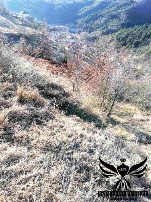 Парцел в с. Оряховец, Област Смолян - 3508 кв.м за 4 €/кв.м - Снимка #4