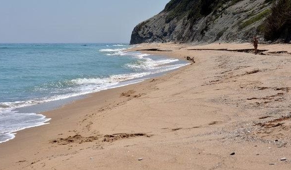 Парцел в Бяла - 900 кв.м за 77 €/кв.м - Снимка #1