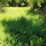 Парцел в с. Богданов дол, Област Перник - 800 кв.м за 13 €/кв.м - Снимка #1