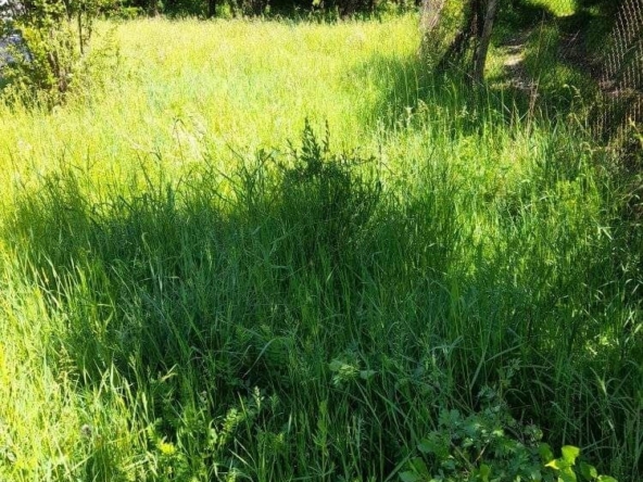 Парцел в с. Богданов дол, Област Перник - 800 кв.м за 13 €/кв.м - Снимка #1