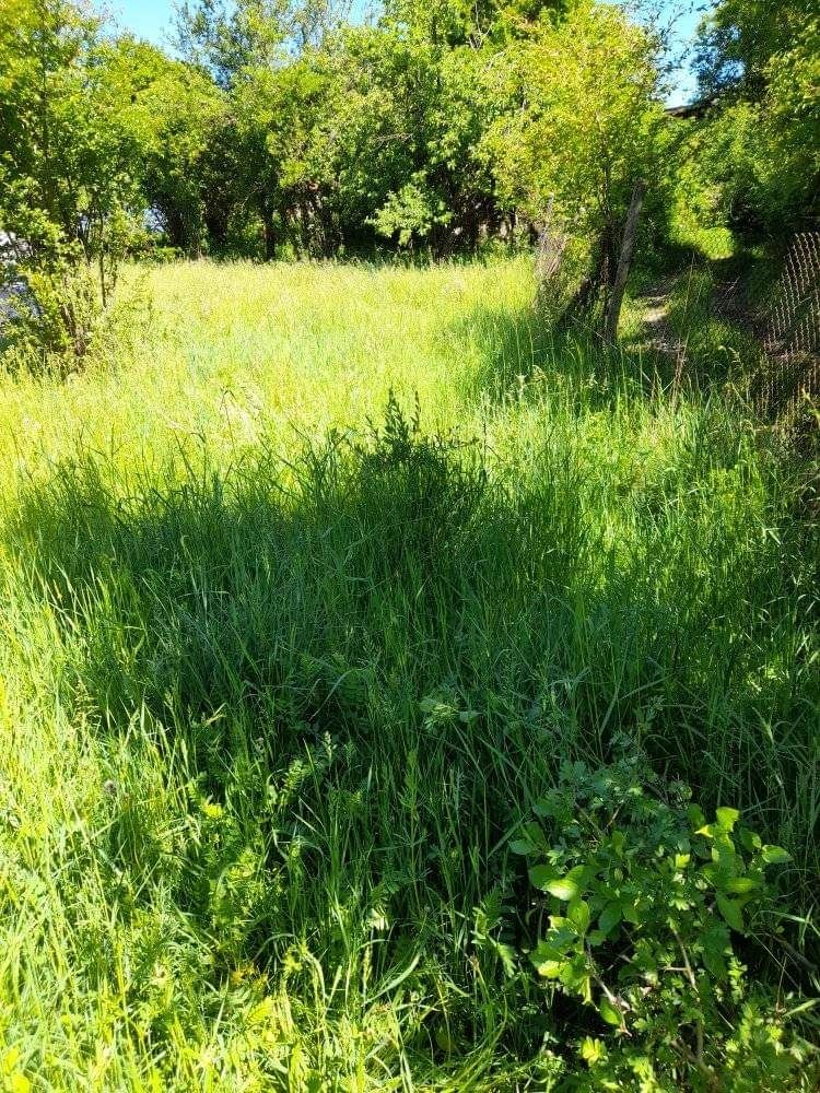 Парцел в с. Богданов дол, Област Перник - 800 кв.м за 13 €/кв.м - Снимка #1