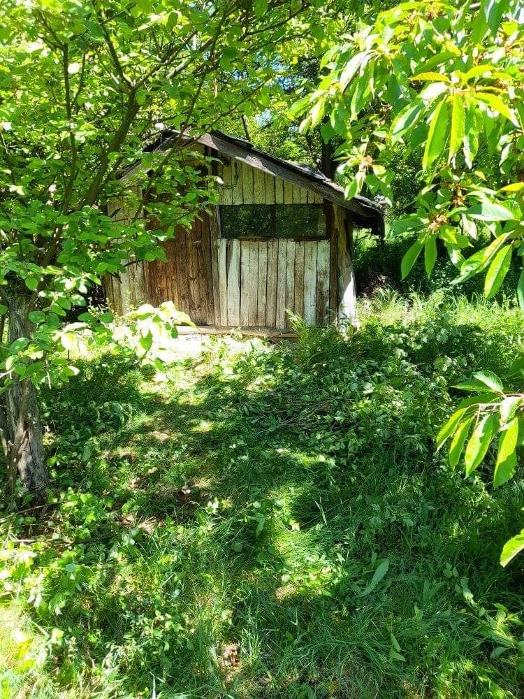 Парцел в с. Богданов дол, Област Перник - 800 кв.м за 13 €/кв.м - Снимка #4