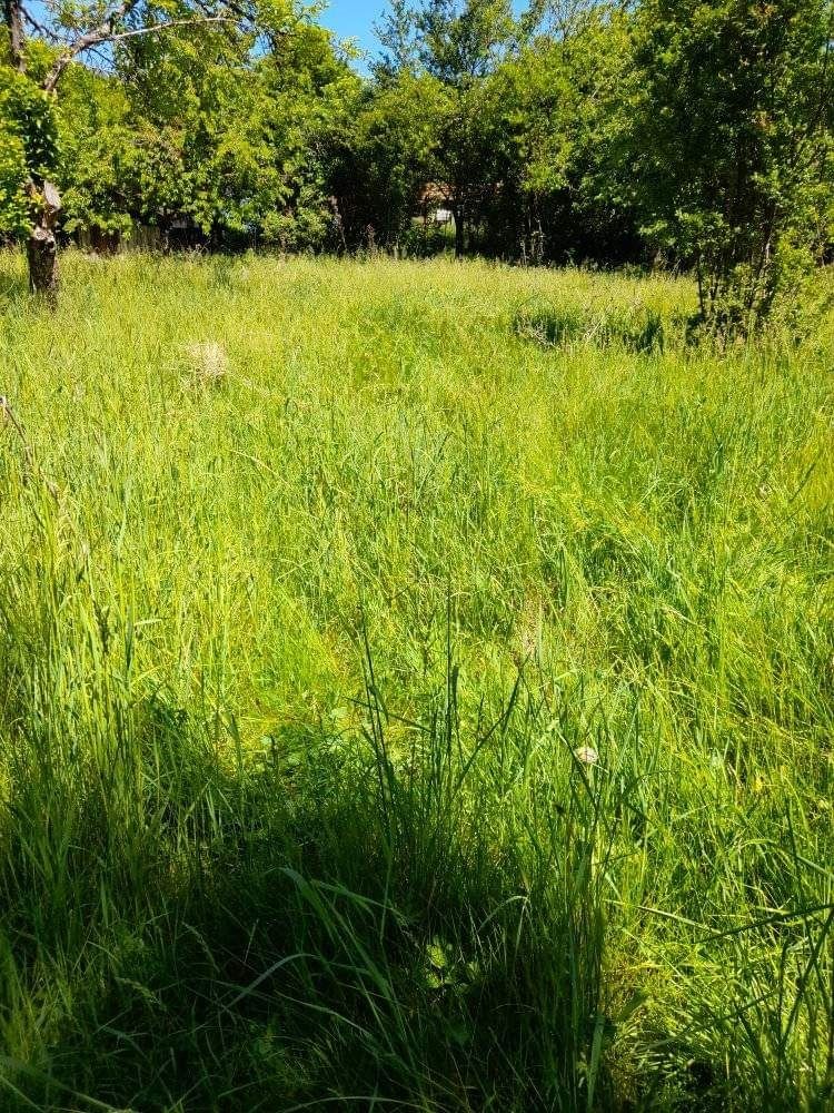 Парцел в с. Богданов дол, Област Перник - 800 кв.м за 13 €/кв.м - Снимка #5