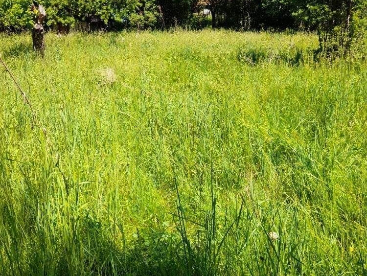 Парцел в с. Богданов дол, Област Перник - 800 кв.м за 13 €/кв.м - Снимка #6