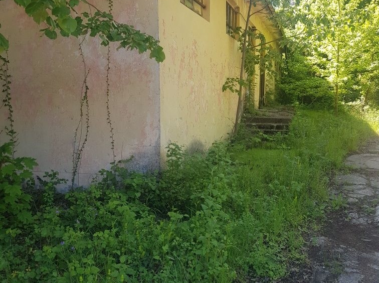 Промишлена сграда в Троян - 40000 кв.м за 55 €/кв.м - Снимка #5