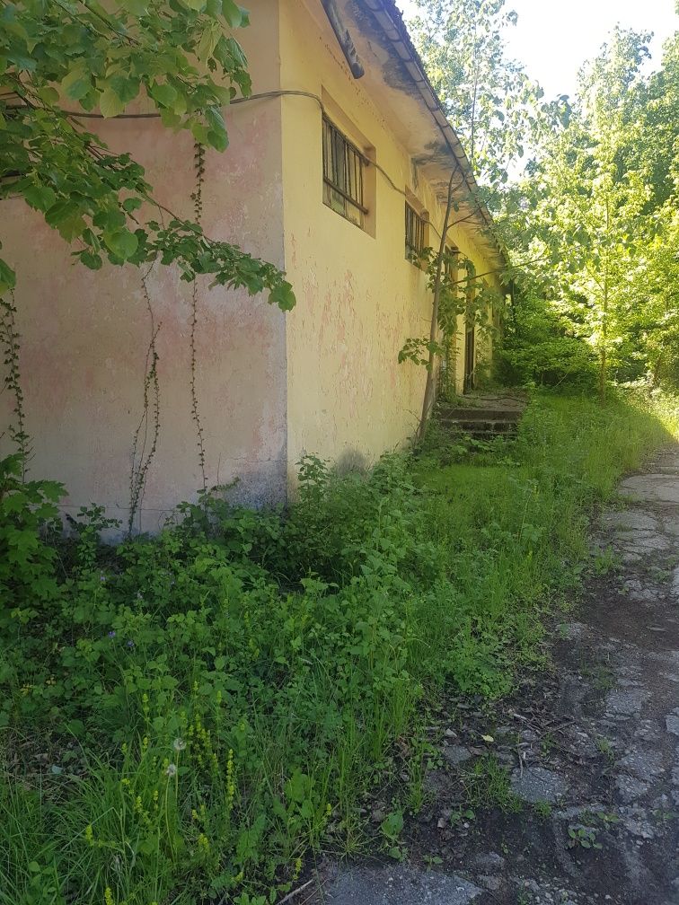 Промишлена сграда в Троян - 40000 кв.м за 55 €/кв.м - Снимка #5
