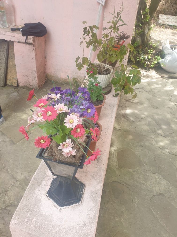 Къща в Добрич, Автогара - 120 кв.м за 417 €/кв.м - Снимка #6