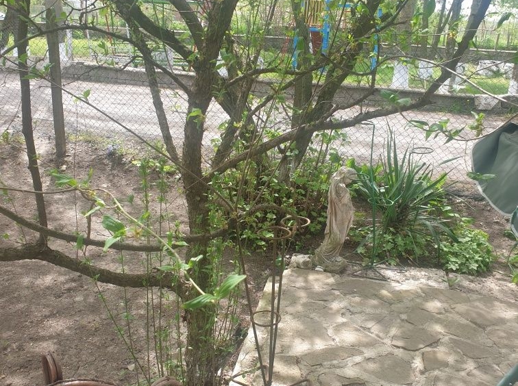 Къща в Добрич, Автогара - 120 кв.м за 417 €/кв.м - Снимка #8