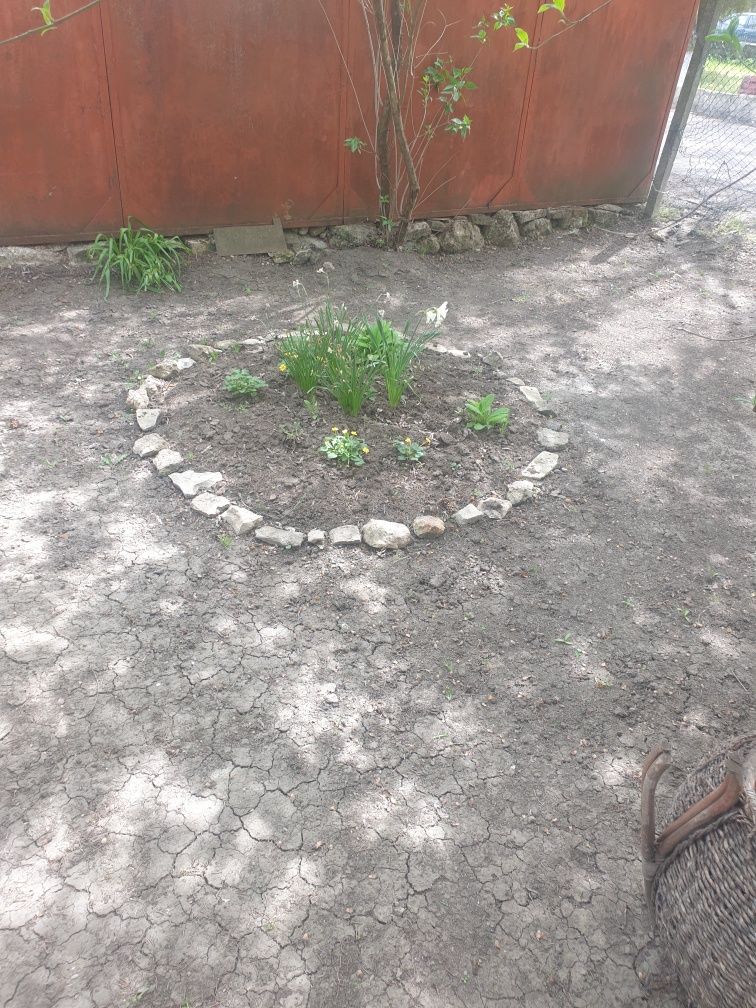 Къща в Добрич, Автогара - 120 кв.м за 417 €/кв.м - Снимка #9