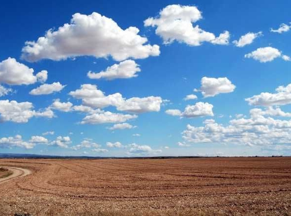 Земеделски имот в София, Овча купел 1 -  кв.м за 4000 €/дка - Снимка #1