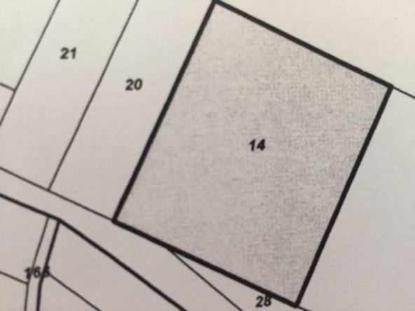 Парцел в с. Приселци, Област Варна - 4509 кв.м за 31 €/кв.м - Снимка #1