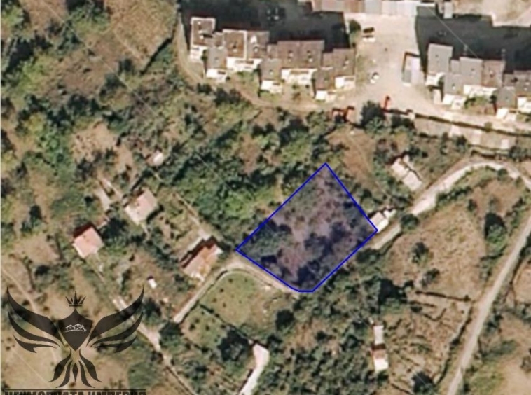 Земеделски имот в Асеновград -  кв.м за 24000 €/дка - Снимка #2