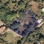 Земеделски имот в Асеновград -  кв.м за 24000 €/дка - Снимка #1