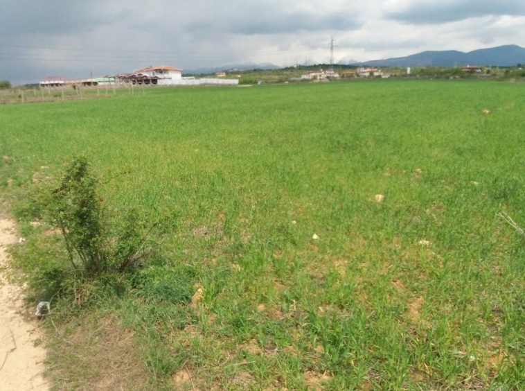 Парцел в Благоевград, Баларбаши - 396 кв.м за 127 €/кв.м - Снимка #3