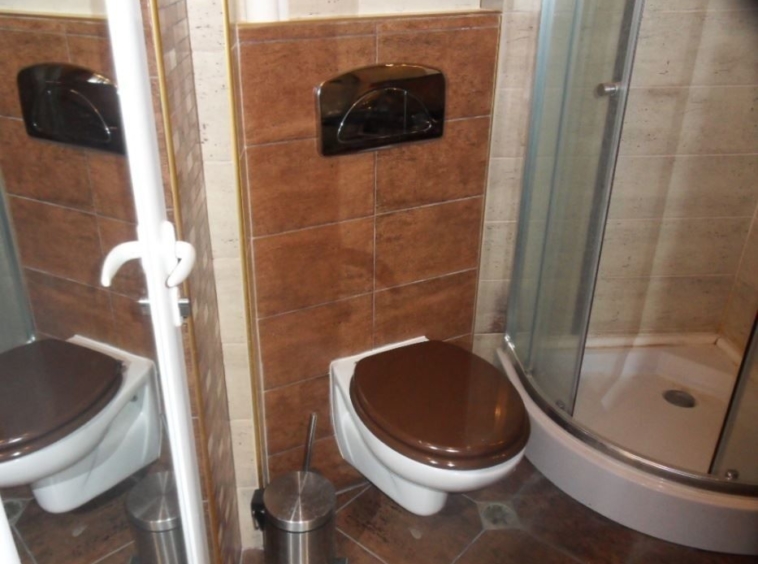 Дава се под наем Тристаен апартамент в Пловдив, Кючук Париж - 90 кв.м за 250 € - Снимка #9